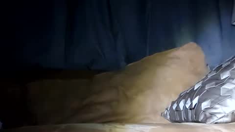 MauiMinded808 online show from January 29, 7:46 am