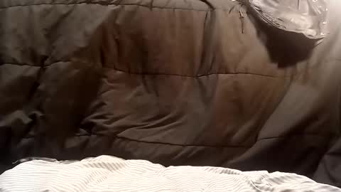 thatb1 online show from October 21, 6:51 am