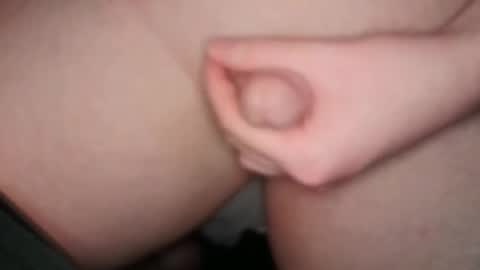 The Fox  The Cat online show from February 21, 1:33 pm