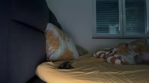 thefreebro online show from February 18, 11:55 am