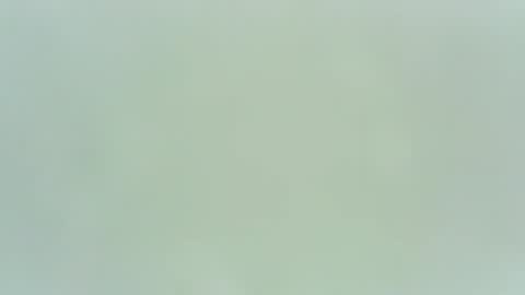 thehoodedsubb online show from February 19, 7:40 am