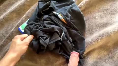 Newcummers online show from July 9, 6:12 pm