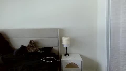 Yoshi online show from January 18, 7:34 pm