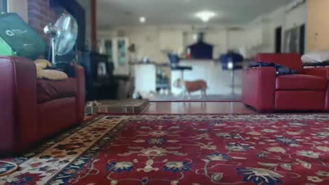 therealkurva4u online show from February 8, 5:08 am