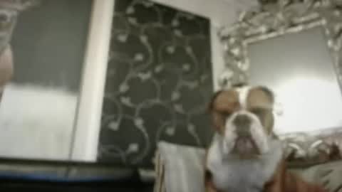 therealkurva4u online show from February 9, 2:29 pm