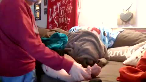 Snapshot of theycallmemellowthebreeze chatting on December 28, 12:04 am mellow online show from December 28, 12:04 am