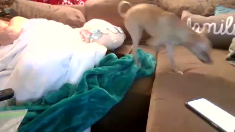 Snapshot of theycallmemellowthebreeze chatting on February 5, 3:55 am mellow online show from February 5, 3:55 am