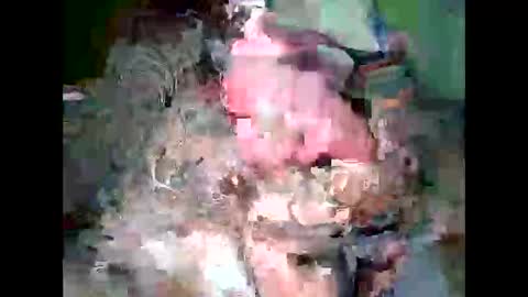 Snapshot of throbster513 chatting on February 18, 1:55 pm throbster513 online show from February 18, 1:55 pm