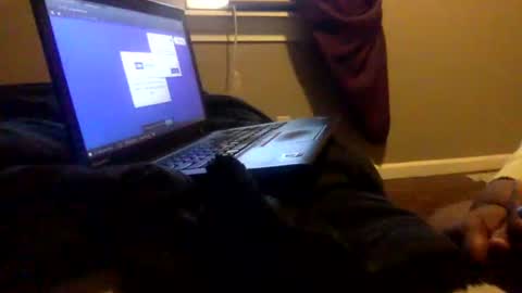 Tierra Henri online show from February 2, 3:49 pm