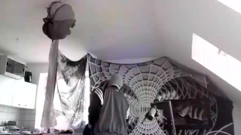 tigertrance online show from March 15, 12:41 pm