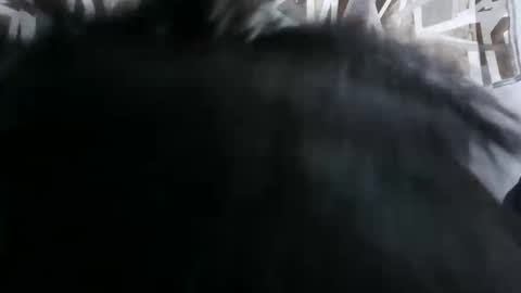 tight_pussie online show from May 4, 8:37 pm