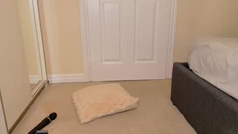 tinkerbell822 online show from November 18, 10:51 am