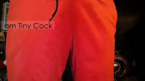 tinycock_1979 online show from November 30, 6:48 pm