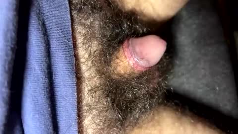 tinycocker online show from October 2, 10:19 pm