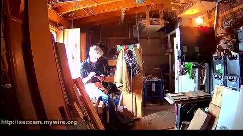 Elkos online show from August 6, 8:56 am