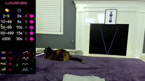 V - Read the bio please thanks. online show from November 9, 2:04 am