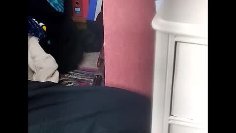 tiptooc online show from March 3, 4:03 pm