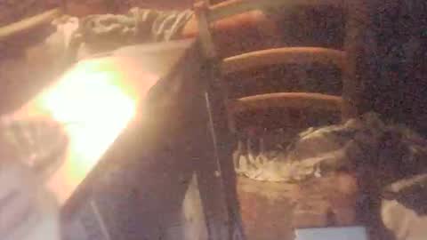 tobimcfly723 online show from April 16, 11:29 pm