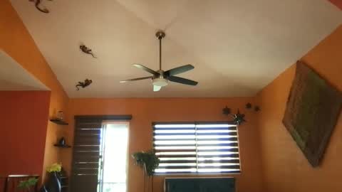 Hola online show from October 27, 6:52 pm