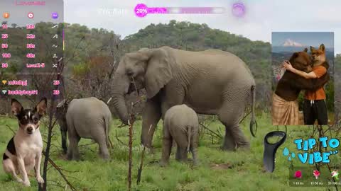 Tomaz62a online show from November 1, 12:00 am