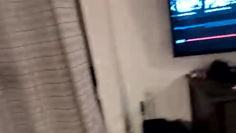 tommythecat1016 online show from November 9, 4:10 pm