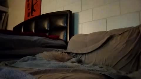 tomthebomb347 online show from September 14, 10:22 pm