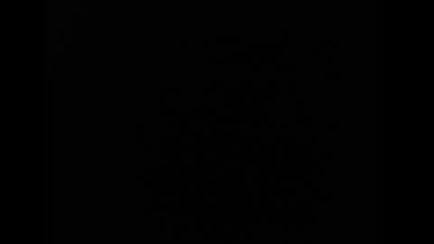 tooobvious online show from December 6, 6:53 am