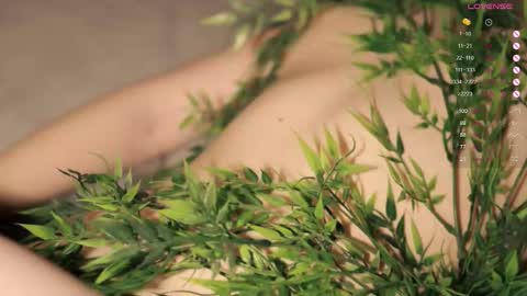 Toshi online show from October 19, 1:05 pm