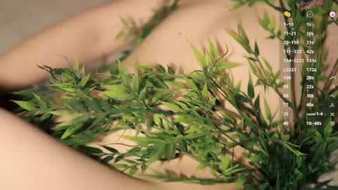 Toshi online show from February 8, 1:03 pm