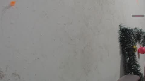 toxca69 online show from January 7, 5:01 am