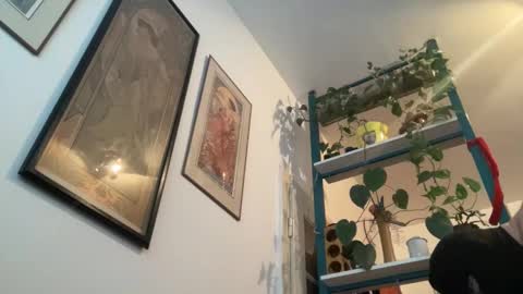 toybdsmguy online show from December 28, 8:37 am