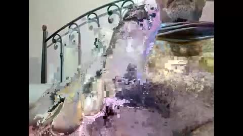 Snapshot of tra649167 chatting on December 23, 9:40 pm tra649167 online show from December 23, 9:40 pm