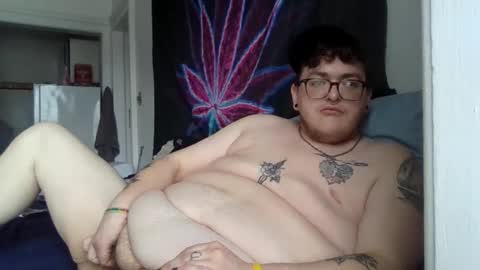 transmalebear online show from February 11, 6:33 pm