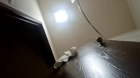 treedude303720 online show from October 28, 11:33 am