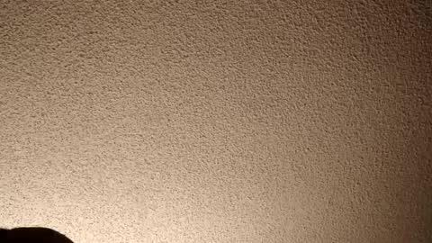 treedude303720 online show from September 25, 3:57 am