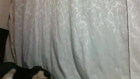 triana_bell online show from January 14, 2:40 am