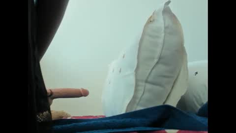 Taria online show from February 1, 5:07 am