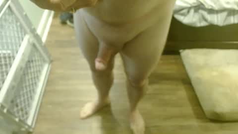 troy1965 online show from February 3, 3:27 pm