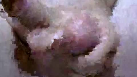 troy1965 online show from April 28, 5:45 am