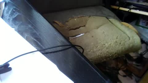 ttb2769 online show from March 14, 7:12 am