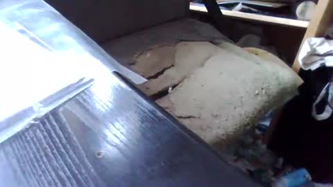 ttb2769 online show from September 21, 7:01 am