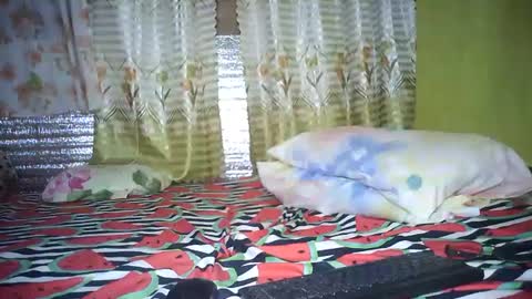 Snapshot of tuchmegently chatting on February 26, 12:30 am Mae online show from February 26, 12:30 am