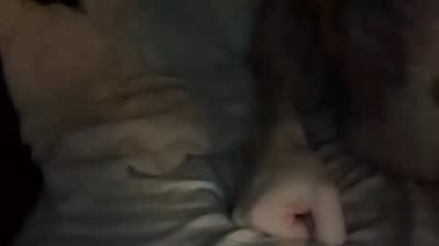 Tuhands online show from October 28, 7:20 am