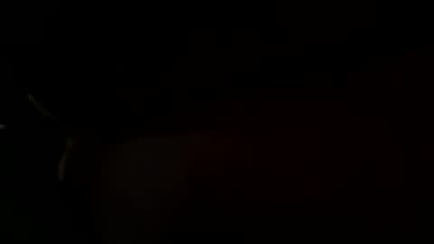 turb0it online show from November 26, 6:59 pm