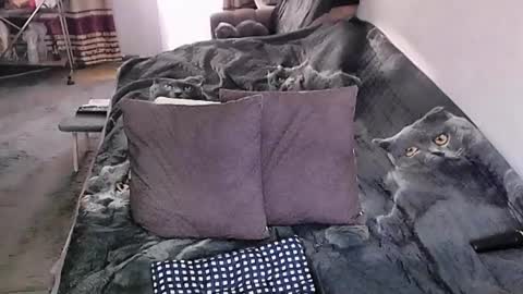 Lana online show from March 24, 12:38 am