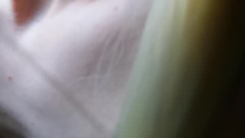 Snapshot of twinkboy2019 chatting on March 7, 4:44 pm Vicky Victor online show from March 7, 4:44 pm