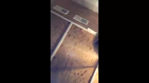 twistercouple3371 online show from March 17, 4:28 am