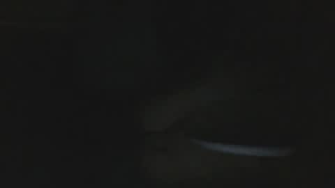 twonkydonk27 online show from April 4, 7:15 am