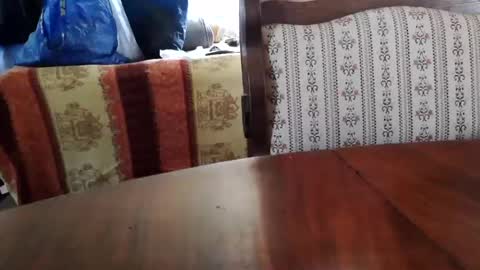 patricia online show from July 3, 12:21 pm
