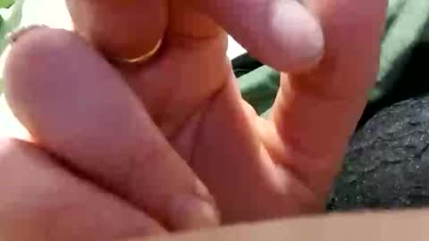 underratedandunindated online show from October 5, 6:48 pm